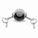 Camlock Blank Cap Type DC - 316 Stainless Steel